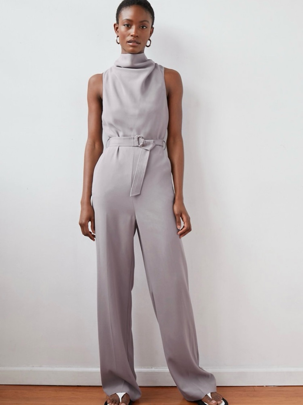 Aritzia Babaton Rossi Jumpsuit